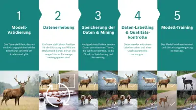 Grafik über KI-Training im Visual Data Collection Projekt
